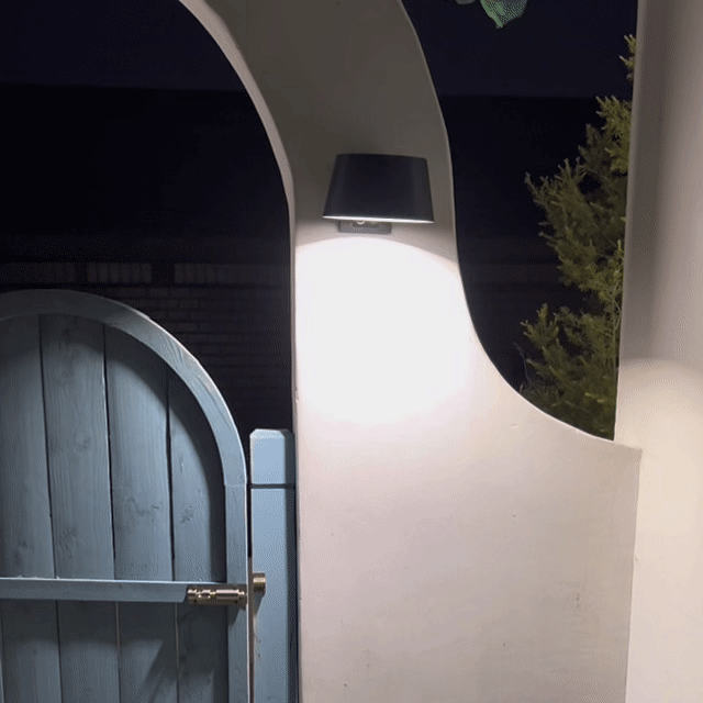 Leo Motion Sensor Solar Wall Light PT0719