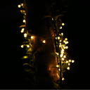 Solar Fairy Lights with Remote - 12M 100 LED Warm White & 8 Modes PT0610