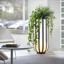 LED Multifunctional Indoor Decorative Light PT0805D