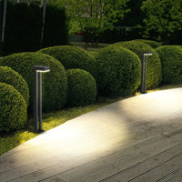 outdoor solar pathway garden lights illuminating a pathway next to well-maintained bushes.