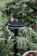 Axola 5-in-1 Solar Lawn & Wall Light PT033PRO
