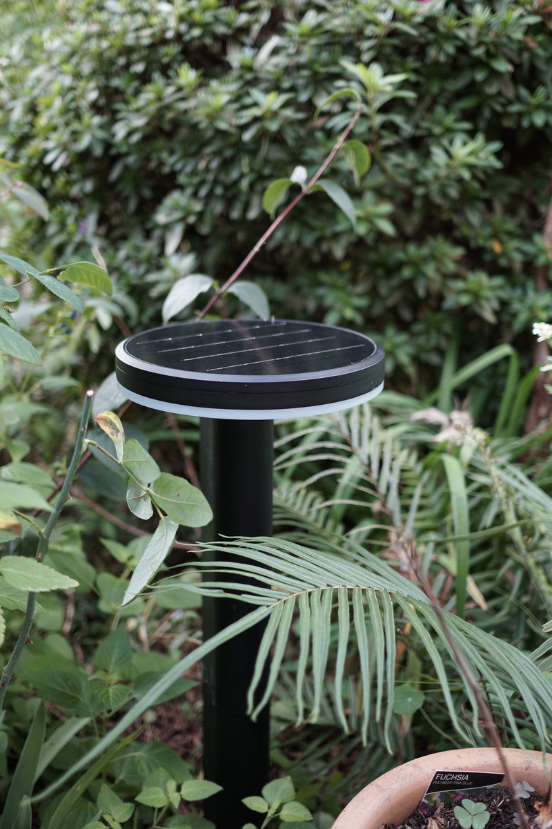 Axola 5-in-1 Solar Lawn & Wall Light PT033PRO