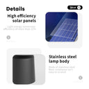 Weno Solar Floor Lamp With Table PT0802