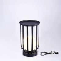 2IN1 Indoor LED Decorative Light PT0805D