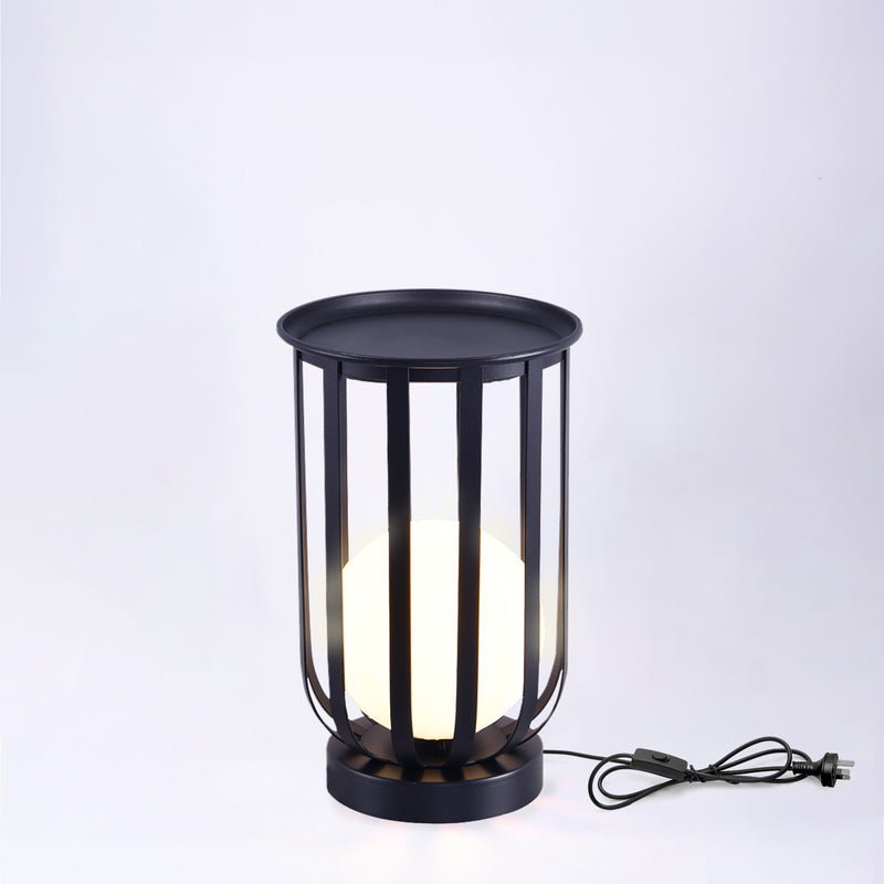 2IN1 Indoor LED Decorative Light PT0805D