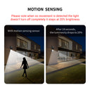 Modo Solar Motion Sensor Floodlight T001ES