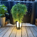 Cava Solar Floor Lamp With Table PT0805N