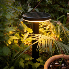 Axola 5-in-1 Solar Lawn & Wall Light PT033PRO