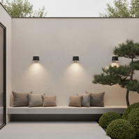 Leo Motion Sensor Solar Wall Light PT0719