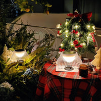 Lawn Lights & Wall Lights Duo