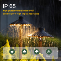 Dense rain shower with 'IP 65' rating text and icons indicating weather conditions.