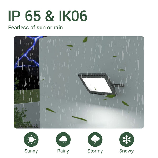Voro Tri-Color Floodlight E027EI-CCT