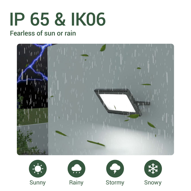 Voro Tri-Color Floodlight E027EI-CCT