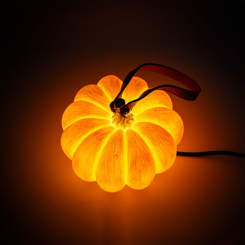 Solar Pumpkin Christmas Lights PT0810