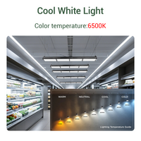 LineBeam Linear High Bay H018E