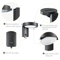 solar outdoor wall light with sensor