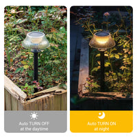 warm white solar pathway lights